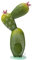 WERKA PRO Cactus Solaire 6 LED Blanches