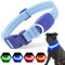 PZRLit Leuchthalsband Hund Aufladbar, Hundehalsband Leuchtend für Klein Mittel große Hunde, Einstellbar LED Halsband für Hunde für Nacht Sicherheit (Blau, Groß)