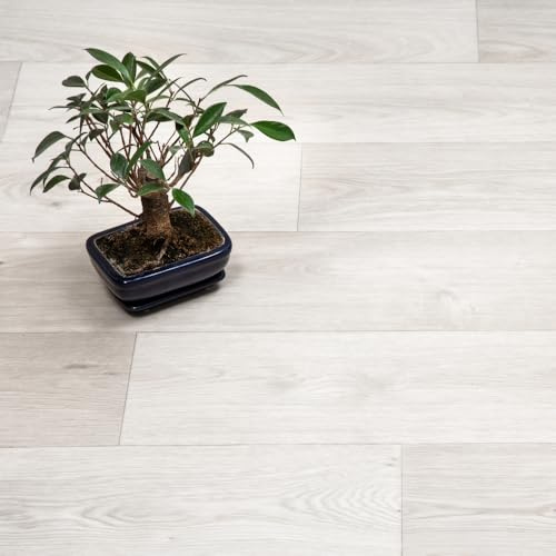 FloorPro Scandinavian Oak Plank Design Vinyl Roll Flooring Light Natrual Oak Effect Pattern Cushioned Bathroom Kitchen Lino Flooring (1, 2metres x 2metres (6ft 6 x 6ft 6))