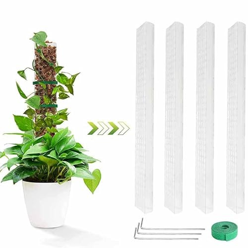 6 Pièces 61cm Tuteur Plante Grimpante, Tuteur Plante pour Monstera, Support Plante Grimpante avec Stabilisateurs en Plastique, Idéal pour Plantes D'intérieur Et Plantes Grimpantes