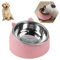 Bol Incliné Pour Chat Et Petit Chien - Gamelle En Acier Inoxydable Amovible Pour Animaux De Compagnie