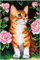 XUJINGJIE Knüpfteppich Zum Selber Knüpfen Katze Teppich Knüpfen Kreuzstich Set DIY Knüpfkissen Tapisserie Fußabtreter Handwerk, 52X38cm
