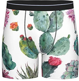 Herren-Boxershorts mit Aufdruck, Wüste, Kaktus, Pflanze, Blume, feuchtigkeitsableitende Unterwäsche, Stretch-Shorts für Herren, Freund, Vater, Schwarz , XL