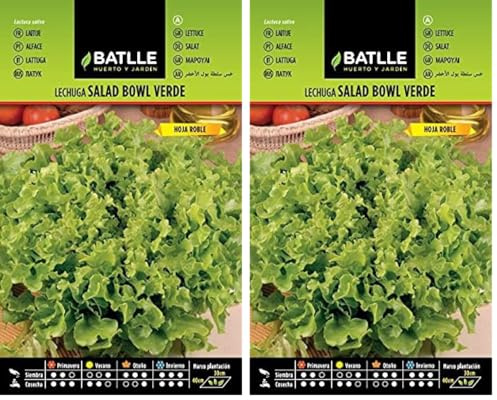 Semi Batlle – Insalata Batavia (Confezione da 2)