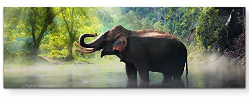 Paul Sinus Art Leinwandbilder | Bilder Leinwand 150x50cm Elefant im Dschungel