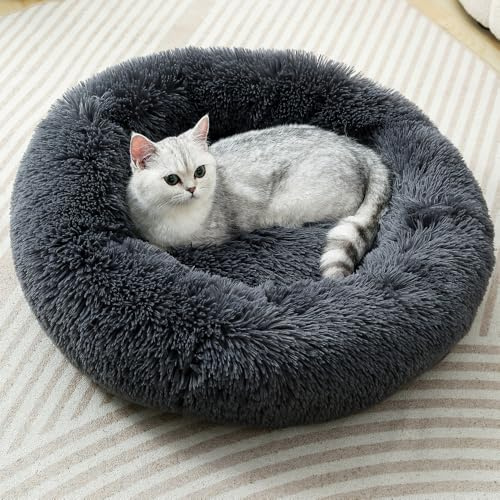 Dog Bed Kitten Beds Cat Bed Cats Cushion Cat Nest Dog Round Bed Fluffy Pet Bed Small Chihuahua Beds Small Cushions for Cats Tiny Pet Beds for Teacup Puppy for 5Kg