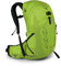 Osprey Talon 22 Wanderrucksack für Männer Limon Green - S/M
