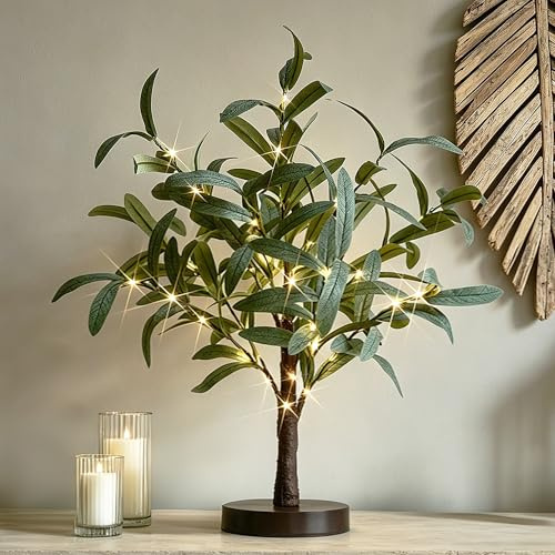 Hairui Beleuchteter Kleiner Olivenbaum, batteriebetrieben oder USB, 45,7 cm, 50 warmweiße LEDs mit Timer, beleuchteter künstlicher grüner Baum mit Lichterkette für Hochzeit, Urlaub, Zuhause