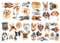 Haustier Hunde Wand Aufkleber Dekoration Haustier Hund Wand Dekorationen Welpen Pet Dog Wanddeko Küche Aufkleber Dog Wandkunst Aufkleber Hunde Wanddeko Aufkleber Welpen Wanddeko Schlafzimmer