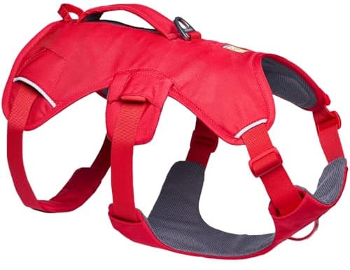Ruffwear Web Master Hundegeschirr, Y-Front-Hundegeschirr mit Griff und verbesserter Schnalle, verstellbar und leicht für Spaziergänge und Wanderungen, fluchtsicher, kein Ziehen, Red Canyon, Medium
