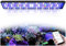 PopBloom H75 WiFi Meerwasser Aquarium Beleuchtung, Volles Spectrum Led Aquarium Lampe für Reef Coral SPS/LPS Fischaquarium, APP unterstützt Deutsch (für 80-100cm)