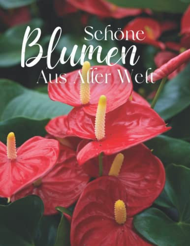 Schöne Blumen As Aller Welt: Die Fotografie von Schöne Blumen für Demenz, Senioren und Alzheimer, (Bilderbuch).