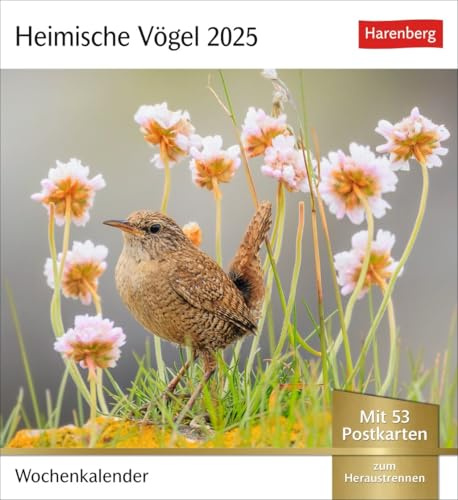 Postkartenkalender Heimische Vögel - Kalender 2025 - Harenberg-Verlag - Wochenkalender mit 53 heraustrennbaren Postkarten - 16 cm x 17,5 cm