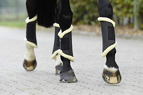 Busse