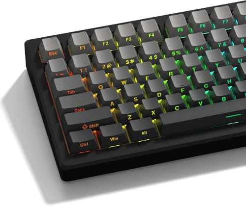 LQXQ PBT 136 Tasten Transparente, Double Shot Profile Cherry Shine Through Keycaps, Custom Tastenkappen Schattierte Tasten für ANSI US Mechanische Tastaturen - Grau