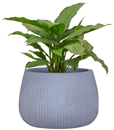Dibor Fibre Clay Plant Pots 29cm Indoor/Outdoor Modern Rippled Finish Flower Pot Planters Patio Decking Lawn Doorstep Porch Houseplant Shrub Topiary Bush Plant Pot Clay Planters (Blue, Small 8.5L)