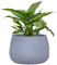 Fibre Clay Plant Pots 29cm Indoor/Outdoor Modern Rippled Finish Flower Pot Planters Patio Decking Lawn Doorstep Porch Houseplant Shrub Topiary Bush Plant Pot Clay Planters (Blue, Small 8.5L)
