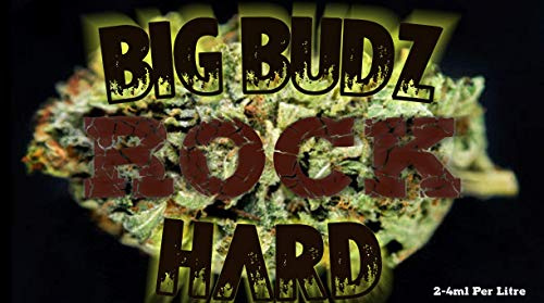 Big Budz ROCK HARD 1L
