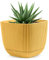 Konzept 11 - Pot de Fleurs d'Intérieur et d'Extérieur 0.68l, Jardinière carrée en Plastique avec Soucoupe (Réservoir d'eau) Jaune 11x11x9.5 cm - Différentes Couleurs et Tailles du Bac