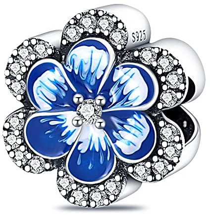 LNQOBU Silber 925 Charms Anhänger für Armbänder Kompatibel mit Pandora Europäischen Armbändern und Halskette （Mit Spacer Beads