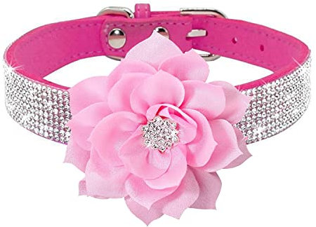 Haoyueer Collier pour chien avec strass, joli collier en daim doux et étincelant pour chien et chat (S, rose vif-6)