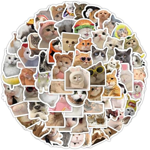 100 Pezzi Adesivi Divertenti a Forma di Gatto, Kawaii Adesivi Divertenti, Impermeabili, in Vinile per amanti dei gatti, Bottiglia D'acqua, Laptop, Album di Ritagli, Diario