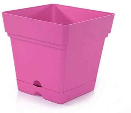 Mintra Home Pot de Fleurs Carré - Plastique Incassable - sans BPA - 16,5 cm - Planter des Fleurs, Jardinage, Plantes - Durable pour Intérieur, Extérieur, Terrasse, Pelouse et Jardin (Fuchsia)
