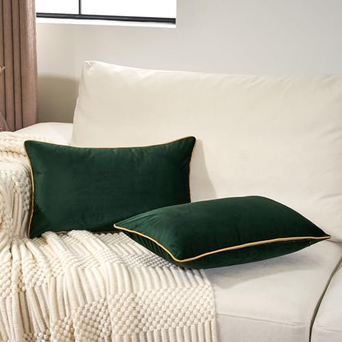 Aeckself 2 Stück Luxus Samt Grün Lendenkissen Kissenbezüge 30,5 x 50,8 cm, moderner dekorativer Kissenbezug mit Gold Trim Edge, bequemer, weicher, solider Kissenbezug für Couch, Schlafzimmer,