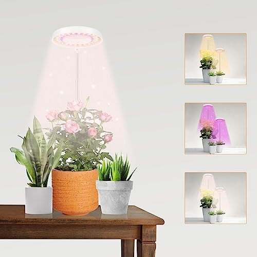 GooingTop Halo - Luz LED de crecimiento para plantas de interior que crecen con círculo blanco para bonsái suculentas, mini plantas pequeñas, temporizador de actualización de 4/8/12/18 horas (con