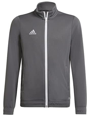 adidas Performance Entrada 22 Trainingsjacke Kids grauweiss, 164 Kinder