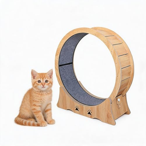 Braunes Katzenlaufrad Dichtplatte Großes Fitness Laufrad für Katzen