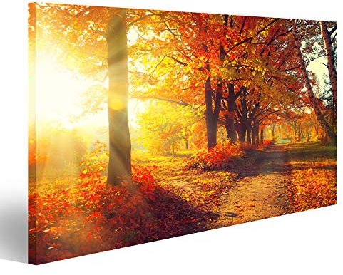 islandburner Bild Bilder auf Leinwand Herbst Herbst Park herbstliche Bäume und Blätter in Sonnenstrahlen Wandbild, Poster, Leinwandbild MZJ