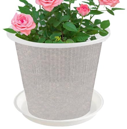 Pot avec orchidées - Vases pour orchidées | Vases d'extérieur avec trous et soucoupes - Lot de 5 pots de pour orchidées juteuses - Fleurs roses - Pensées - Cactus