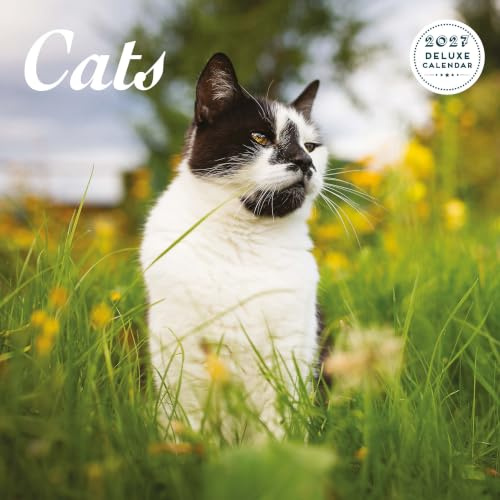 Cat 2027 Deluxe Kalender