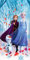 Frozen die Eiskönigin Badetuch Team 75 x 150 cm 100% Baumwolle Velours-Qualität Strandlaken Strandtuch Handtuch Badelaken Saunatuch Anna ELSA Kristoff Arendelle Disney Passend zur Bettwäsche