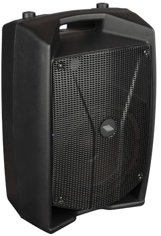 PROEL V12 PRO Aktiver 2-Wege-Audio-Lautsprecher 600 W Peak mit DSP-Querschnitt für hochwertigen Sound, Schwarz