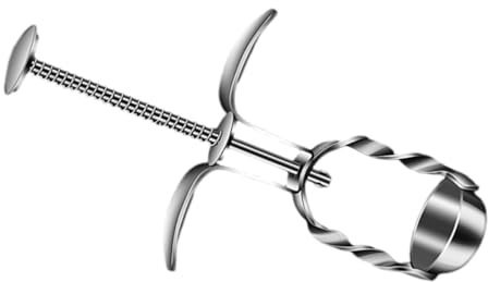 KICHOUSE Kirschentkerner Edelstahl Dattelkernentferner Werkzeug Manuell Für Kirschen Jujuben Küchenutensilien Küchenbedarf Fruchtkernen Entfernen