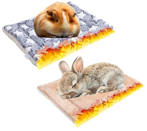 2 Stück Warme Meerschweinchen Decke,30*20cm Hamster Kaninchen Bett Matte,warme flauschige Welpen Fleecedecke,Bettmatte für Meerschweinchen,Geeignet für Hamster, Kaninchen, Chinchillas, Kätzchen usw.