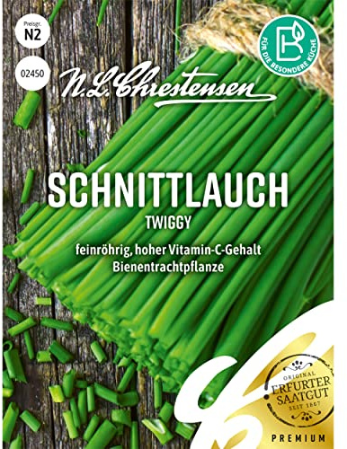 Staudenthymian Deutscher Winter Samen
