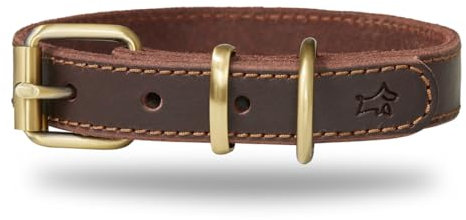 DIAVOLI - Hunde Lederhalsband Luna - Strapazierfähiges Hundehalsband mit Verstellbarer Messing Schnalle - Fettleder Halsband Robust - Größe S