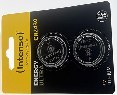 Lot de 2 piles Intenso compatibles format 2430