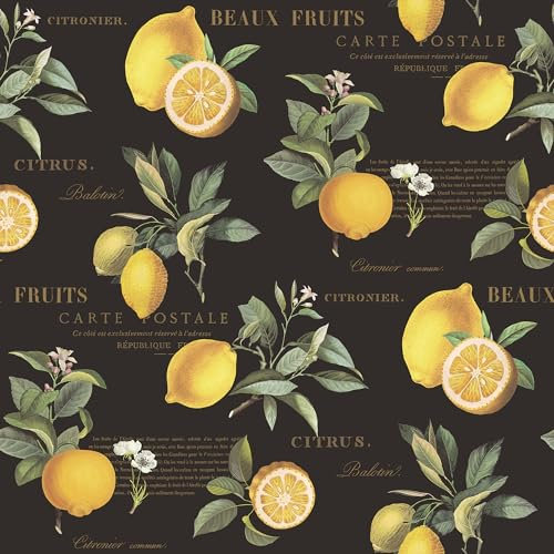 Galerie G45411 - Just Kitchens Citron Botanical Black Yellow Wallpaper