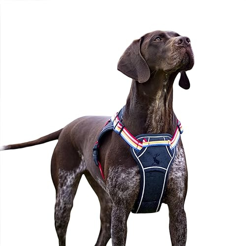 Rosewood x Joules Rainbow Stripe Dog Harness, Medium, Adjustable Padded Reflective Harness with Handle for Walking, Training & Control for Medium Dogs