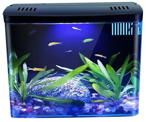 Acquario piccolo, serbatoio di pesce nero 1,3 galloni Acquario Piccolo Acquario trasparente Acquario con filtro a 3 strati ＆ Luce a LED, Desktop Autobliviazione Desktop Home Decor