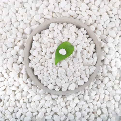 Mulctun White Rocks, 12Lb, 0.5-1 Natural White Stones, Decorative Gravel for Plants, Aquarium, Garden, Home Decor