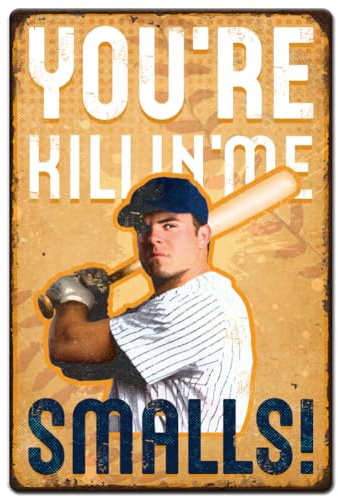 Hobbspring 1 Stück Vintage Metallblechschild 20x30cm Retro Eisen Baseball Boy Schild Rost Look You'Re Killin Me Smalls Poster Für Zuhause Zimmer Büro Küche Bar Café Männerhöhle Wanddekoration