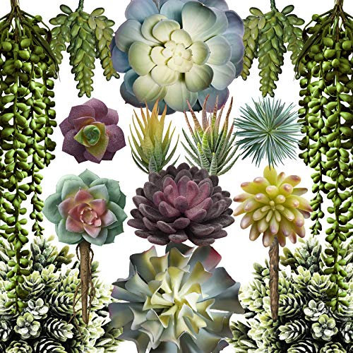 caqpo Suculentas Artificiales, Paquete de 15, Plantas suculentas Artificiales sin Maceta y con Textura Realista para Bricolaje, Plantas de Cactus Artificiales a Granel, Plantas suculentas feaux