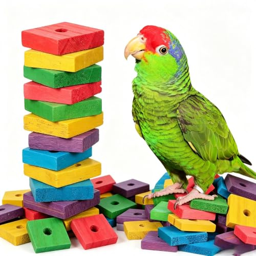 50 Stück Holzklötzchen Papagei Kauspielzeug, Sittich Naturholz Set | Bunte Papageienspielzeug Ersatzteile zum Basteln, Wooden Parrot Toys for Vogelkäfig Deko, Schnabelpflege Zubehör