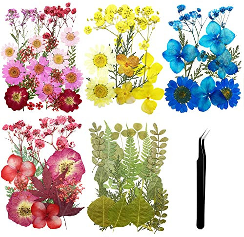 Cayway 5 Stil Natürliche Getrocknete Blumen, Getrocknete Gepresste Blätter, Natürliche Trockene Blätter mit Pinzette, Schere für DIY Harz Schmuck Nail Crafts Art Blumendekoration