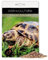 AGRI-CULTURA® | Semi Erba Per Tartarughe Di Terra In Miscuglio【15gr】| Mix Di Semi Da 6 erbe con Trifoglio, Tarassaco e Lattuga, Semi Per Nutrizione Ottimale Tartarughe Made in Italy.